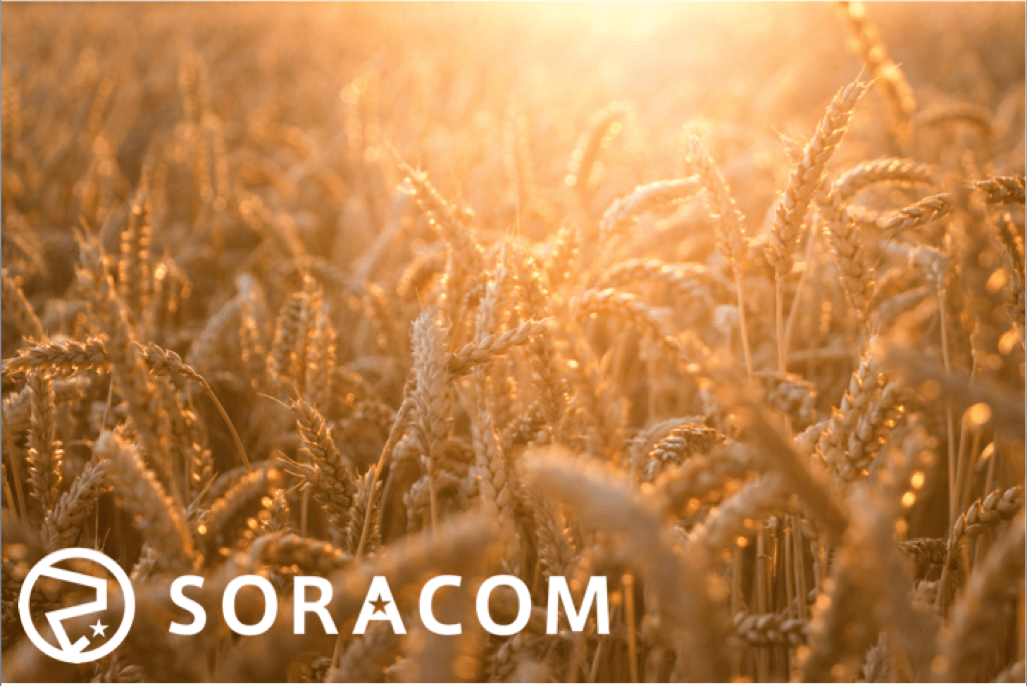 SORACOM Air, SORACOM Beam… What comes next?