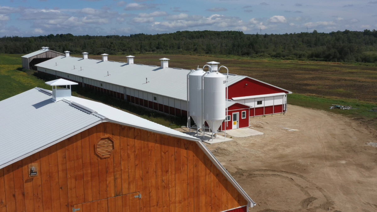 BinSentry case study cover image, farm feed