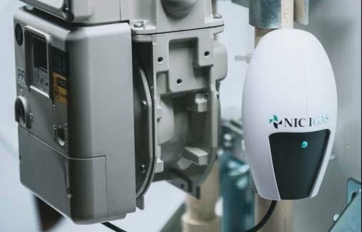 Space Hotaru, Nicigas