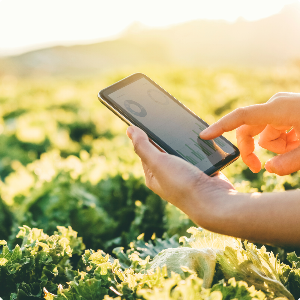 Measurement data from the field to a tablet through cellular connectivity