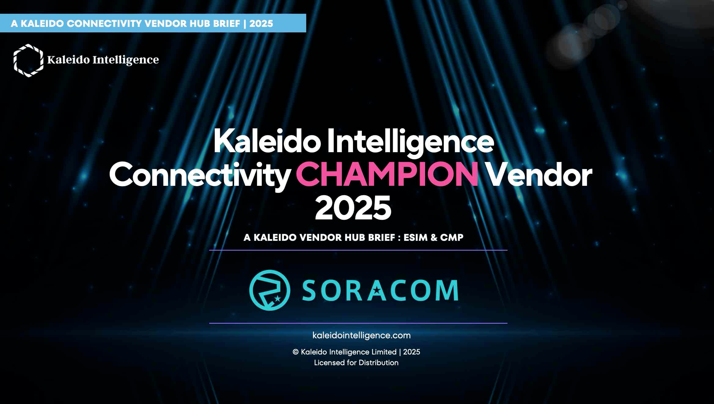 Kaleido Report image